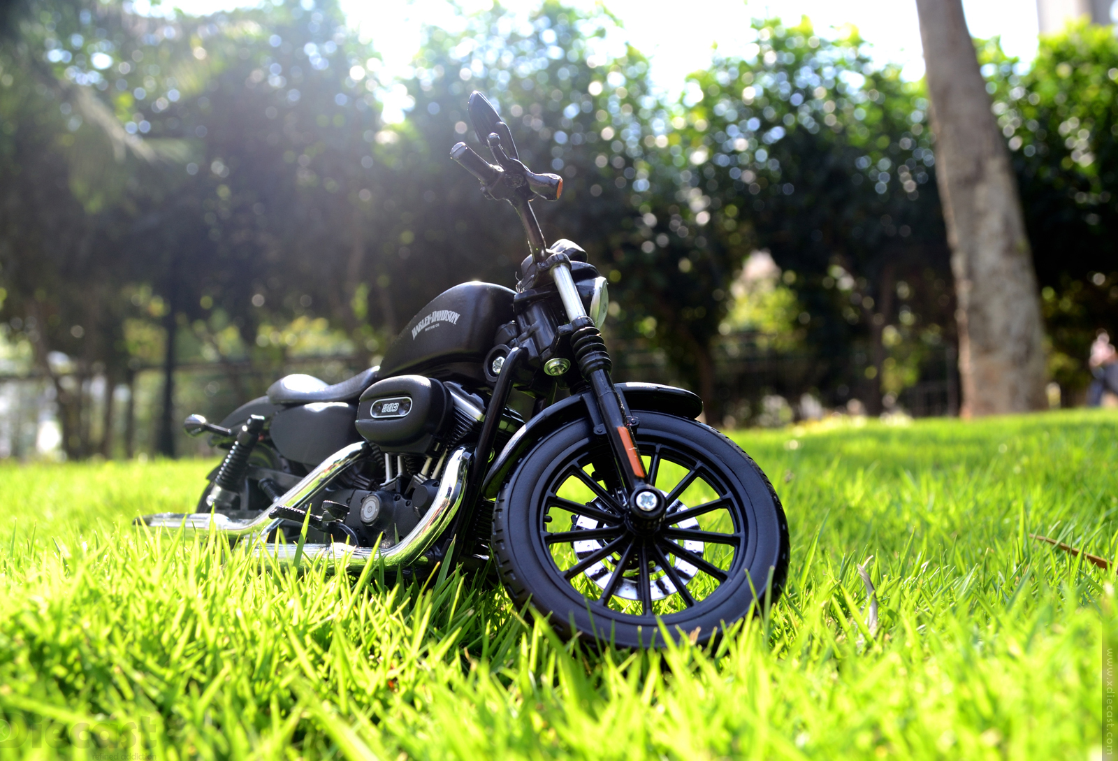 Maisto Harley Davidson Iron Sportster 883 2014 - Front View